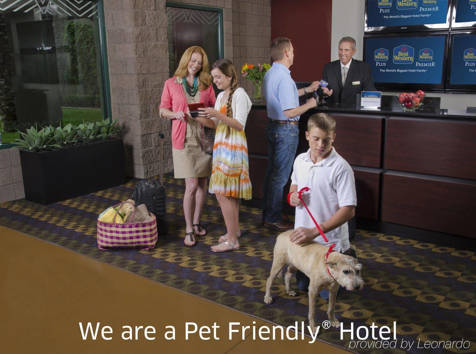 Hotel Western Greentree Inn&suites Moore